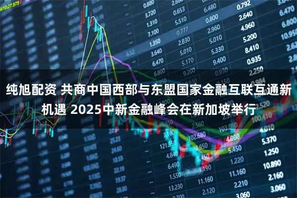 纯旭配资 共商中国西部与东盟国家金融互联互通新机遇 2025中新金融峰会在新加坡举行