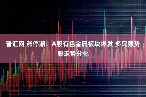 普汇网 涨停潮！A股有色金属板块爆发 多只强势股走势分化